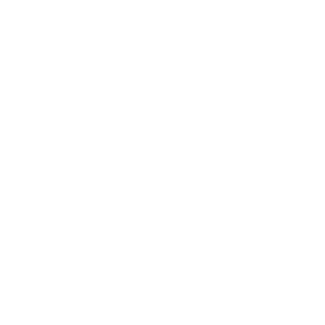 Logo vom Waldschlösschen Rochlitz